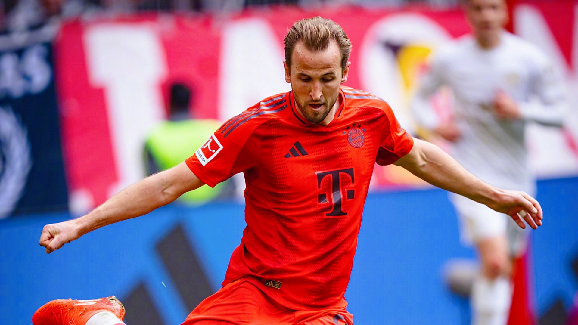 塞尔维亚队前途光明！，凯恩新星败北表现突出赢得满堂喝彩